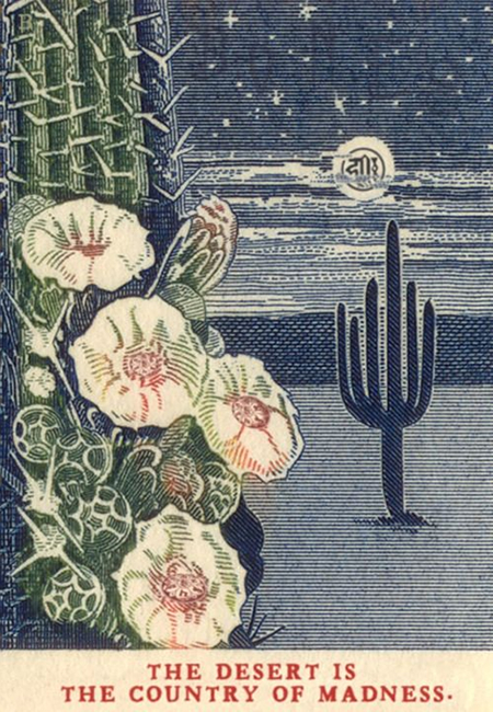 Across The Desert